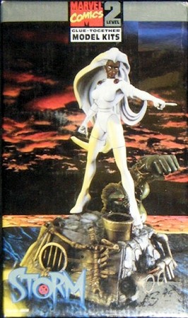 Storm box cover 
